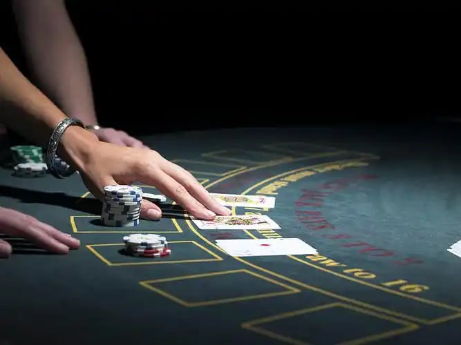 Overview of jl26 platform features including sports and casino sections
